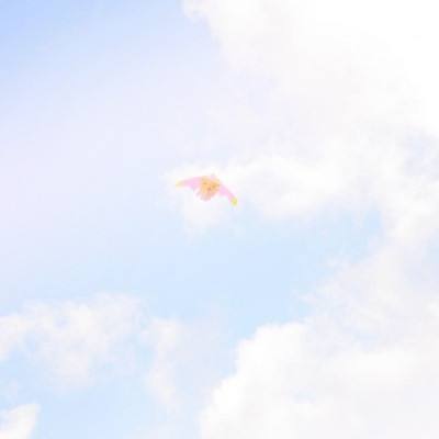 末日快打传说官方版下载