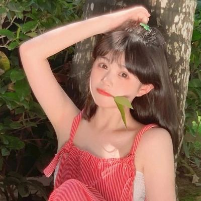 黑鲨宏软件下载